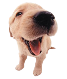 !